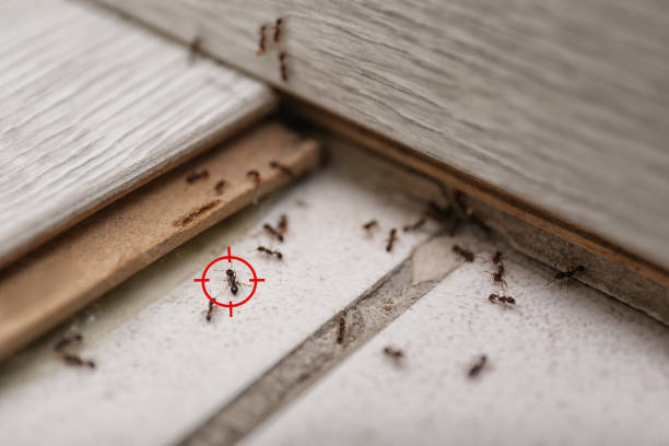 Best Wildlife Control Services  in Port Norris, NJ