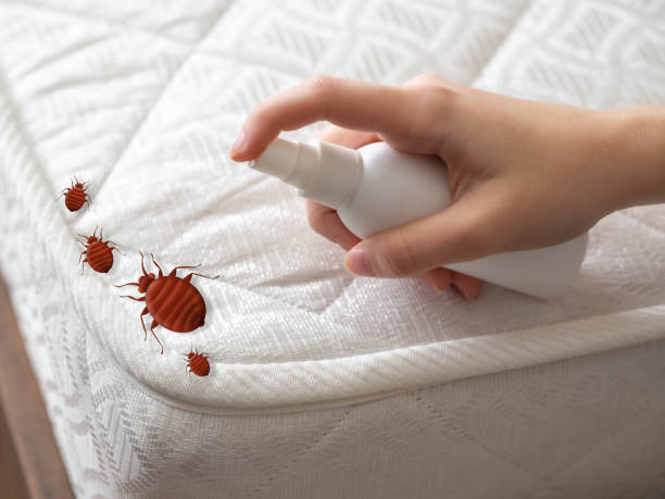 Best Best Pest Control Near Me  in Port Norris, NJ