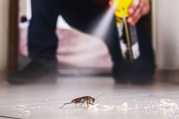 Professional Pest Control in Port Norris, NJ
